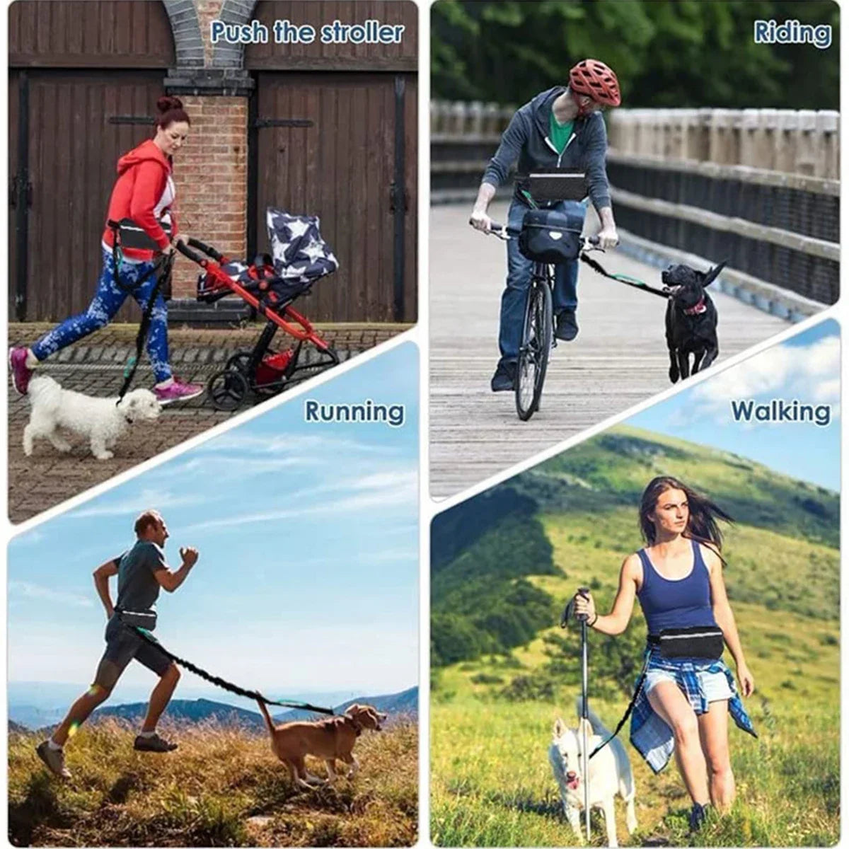 Reflective Leash with Waist Bag Retractable Elastic Belt Dog Traction Rope