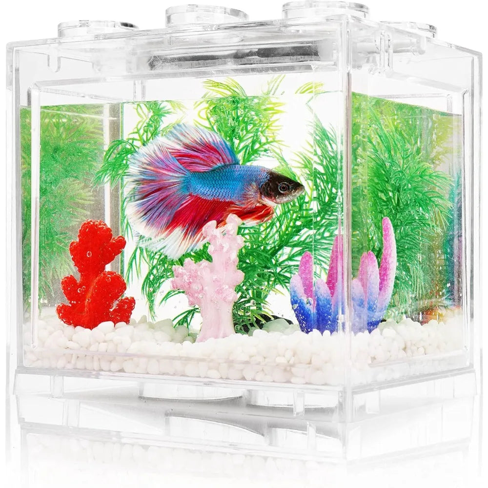 Aquarium Mini Fish TankThai Betta Tank