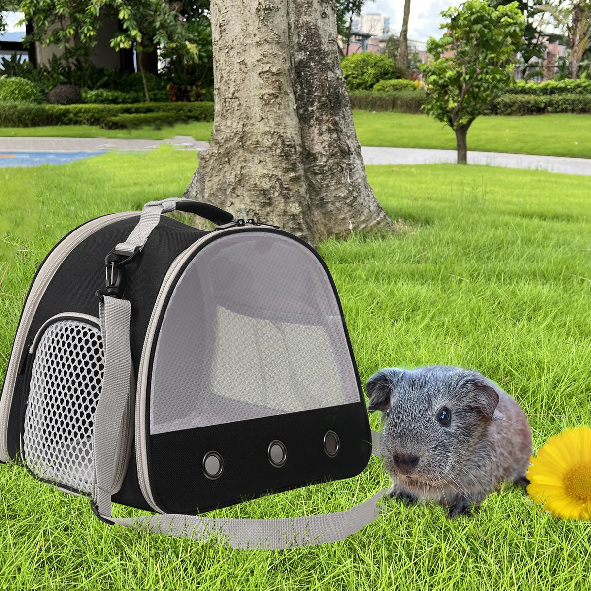 Portable Clear Guinea Pig Carrier