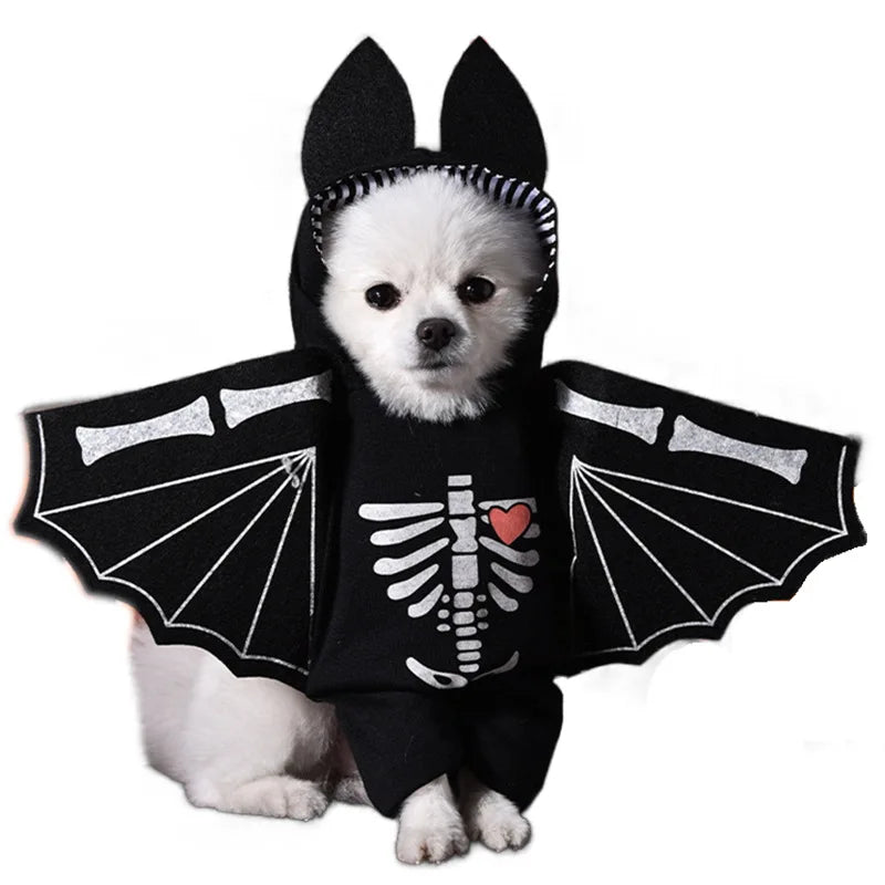 Halloween Dagger Pet Transformation Dress Festival