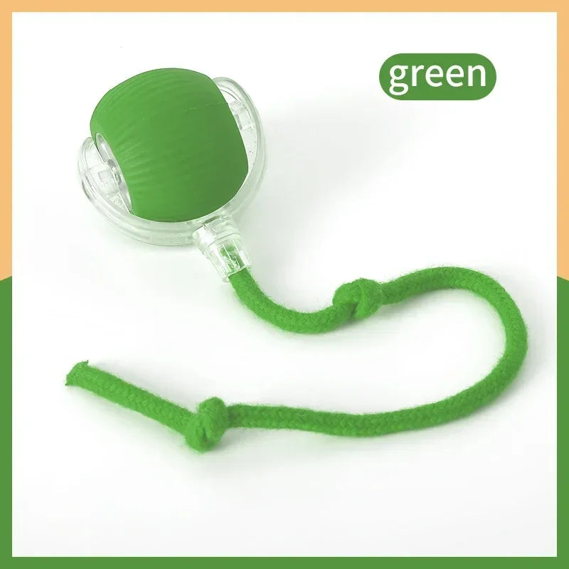 Interactive Automatic Rolling Ball Pet Toys