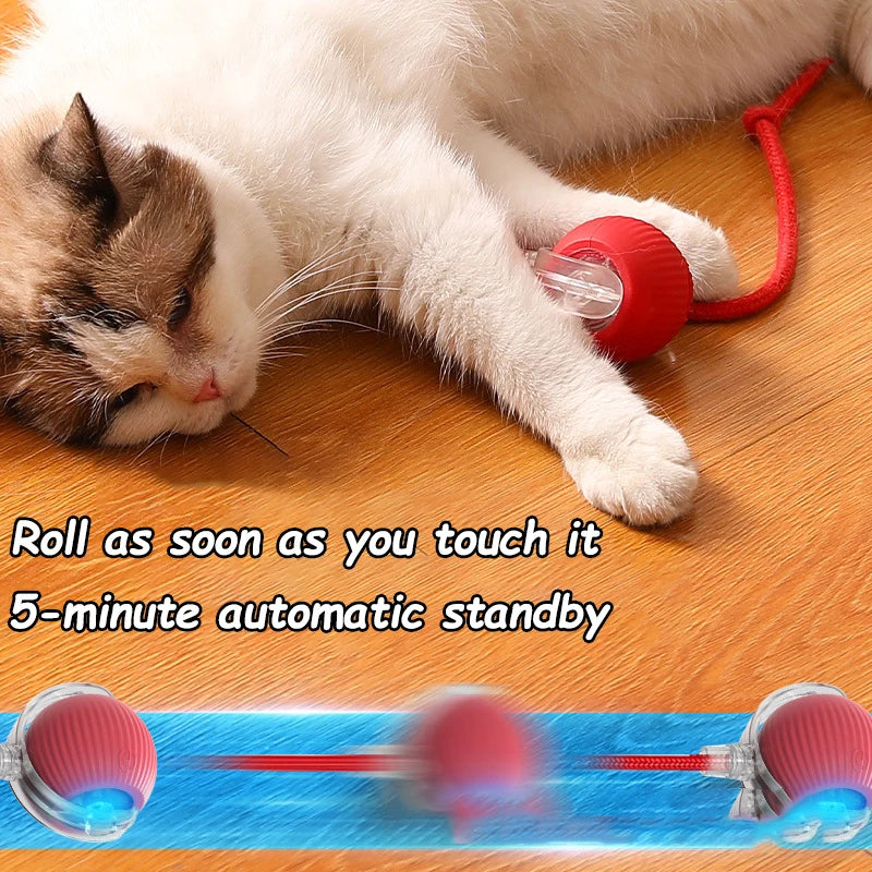 Interactive Automatic Rolling Ball Pet Toys