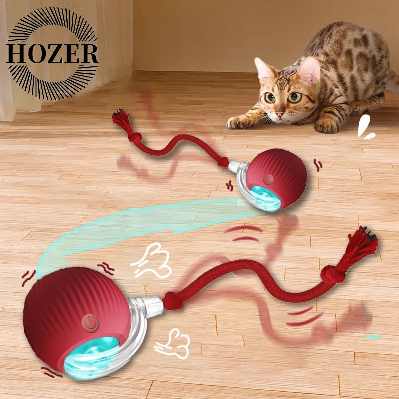 Interactive Automatic Rolling Ball Pet Toys
