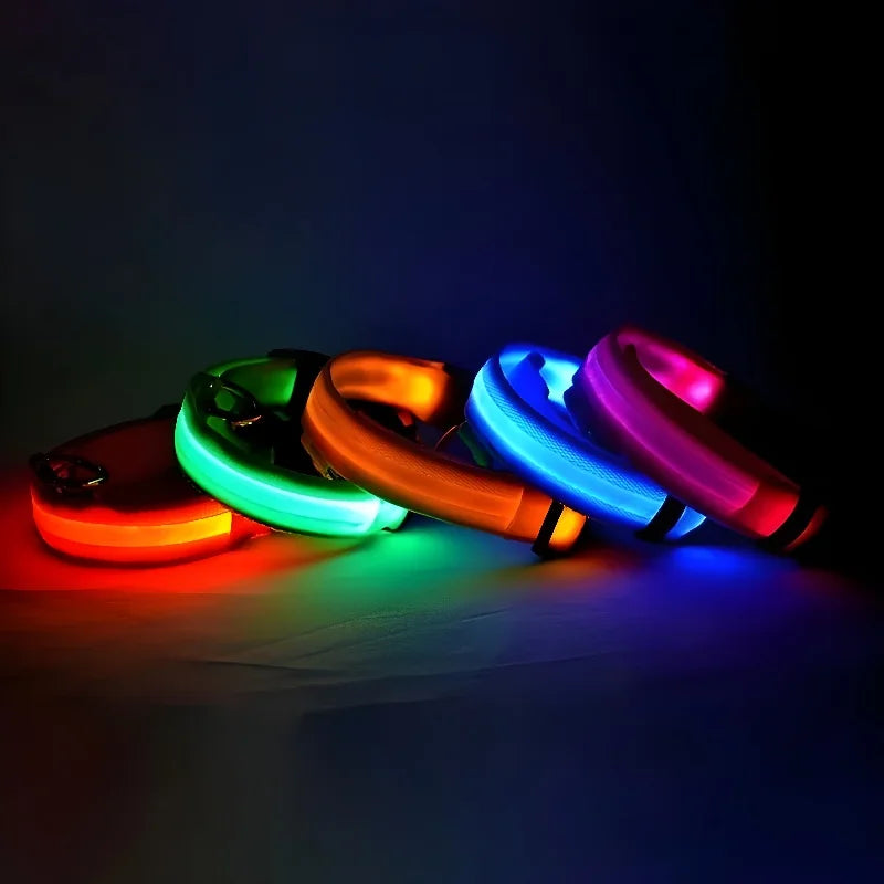 Nylon LED Night Safety Flashing Glow In The Dark Pet Leash
