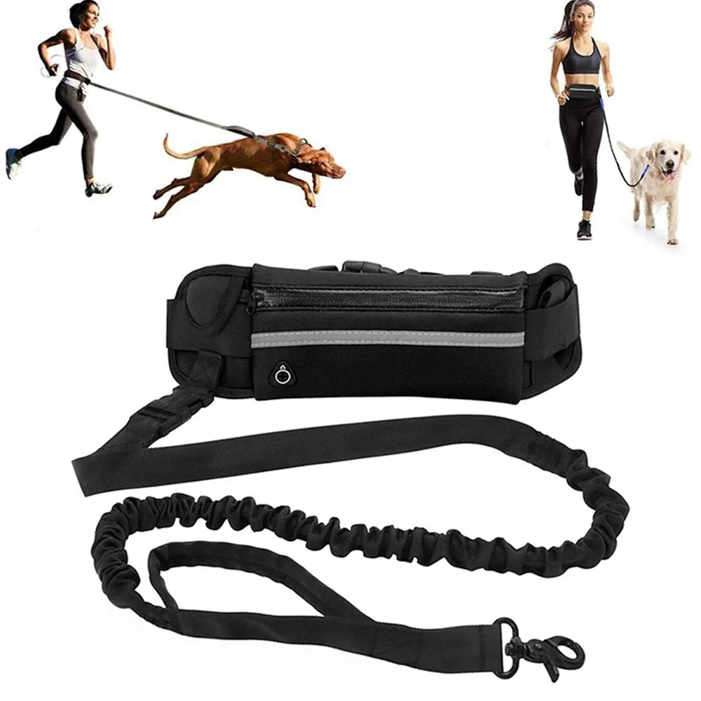 Reflective Leash with Waist Bag Retractable Elastic Belt Dog Traction Rope