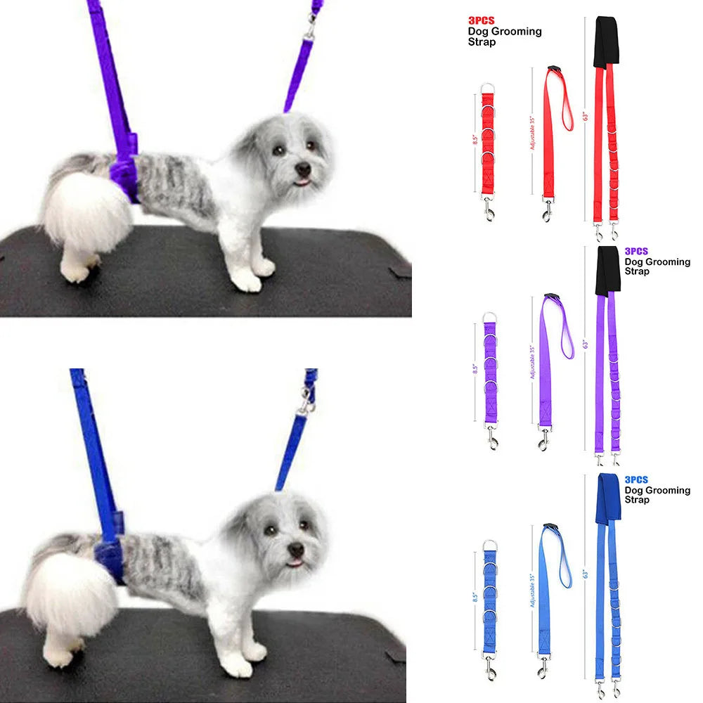 Portable Adjustable Dog Harness with D-Rings & Grooming Strap