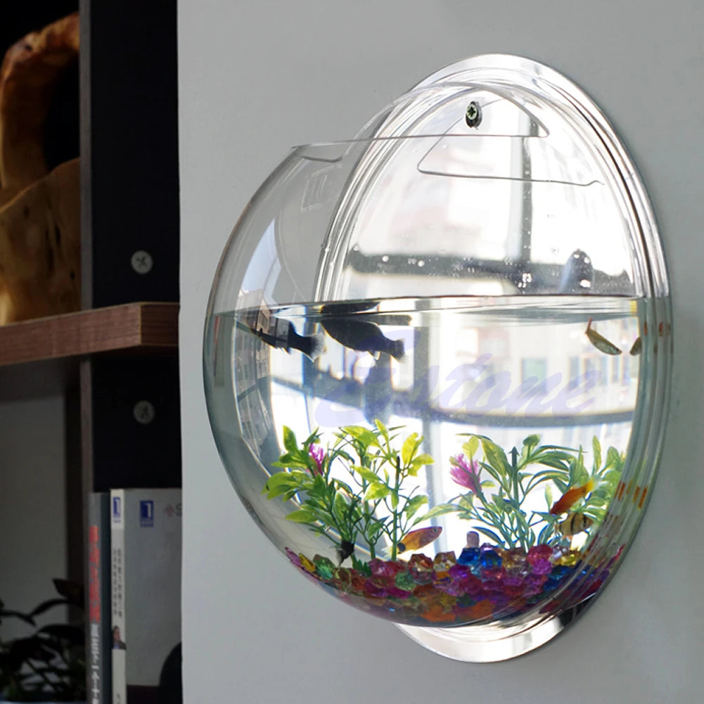 Wall Mounted Acrylic Fish Bowl & Planter