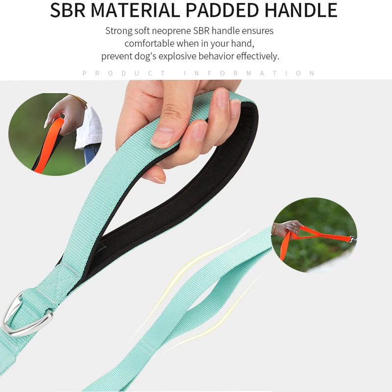 SMALL COMBINATION Lightweight Dog Leash with Double Handle