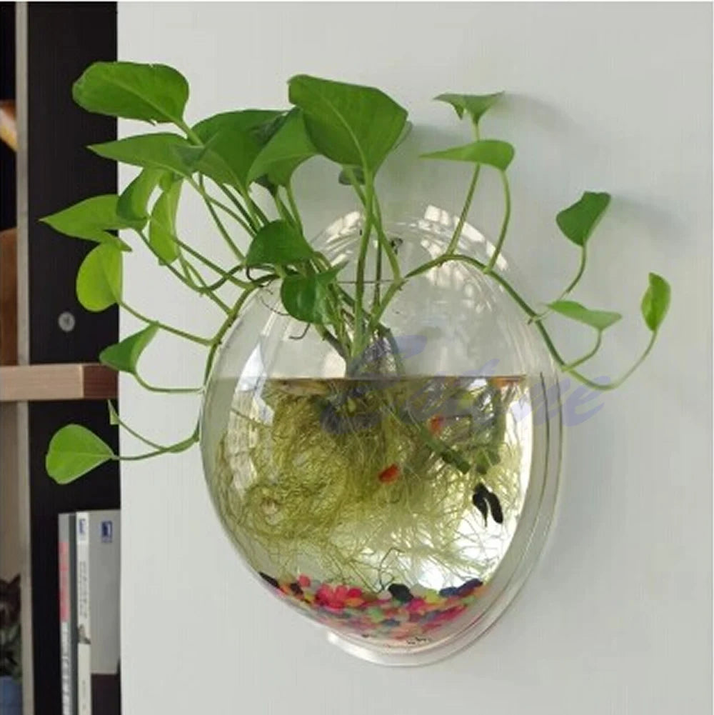 Wall Mounted Acrylic Fish Bowl & Planter