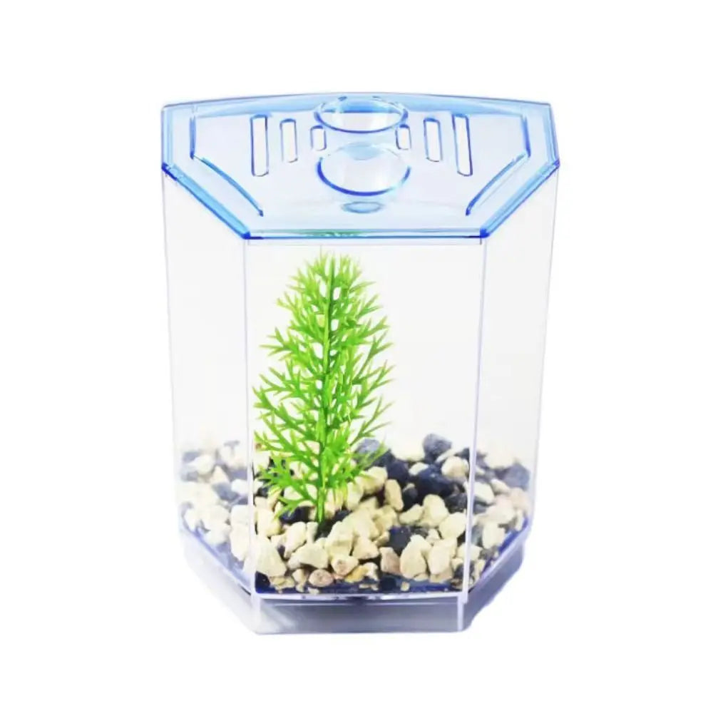 Transparent Betta Fish Tank & Double-grid Isolation Box