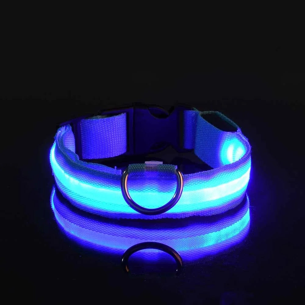 Nylon LED Night Safety Flashing Glow In The Dark Pet Leash