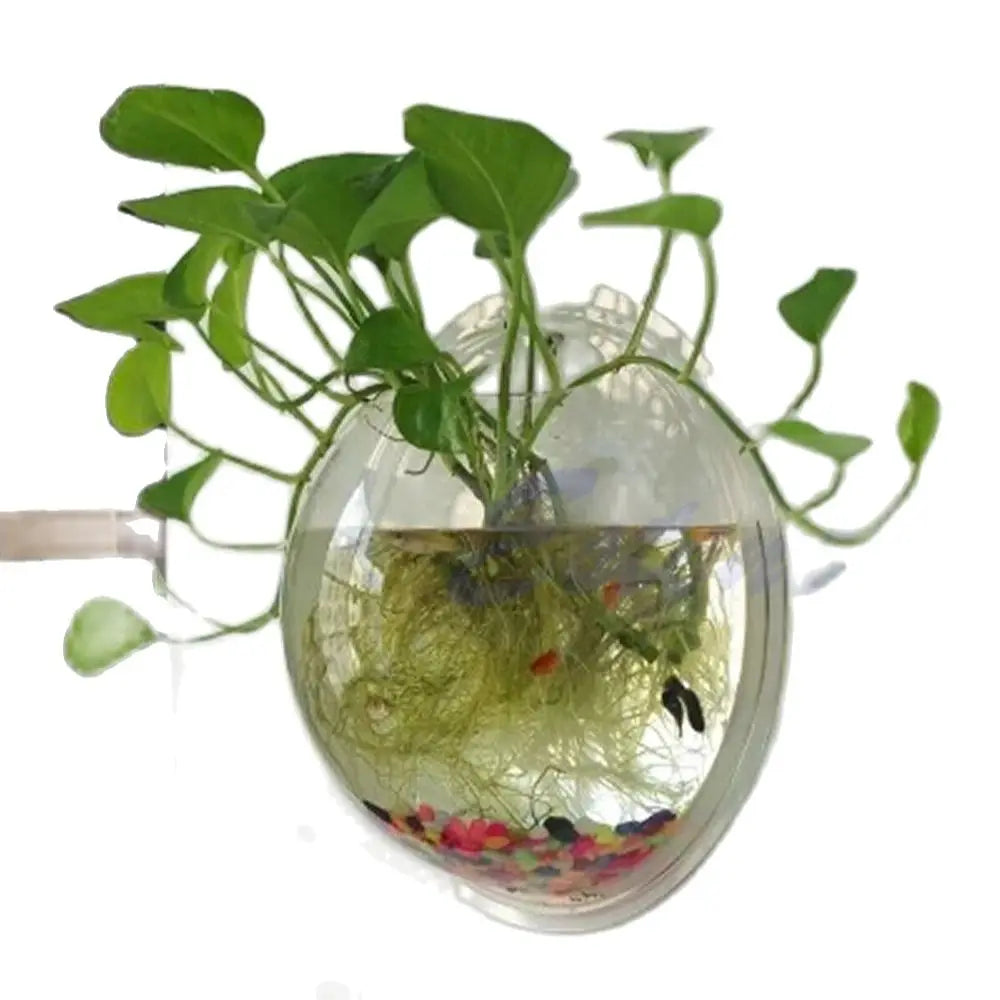 Wall Mounted Acrylic Fish Bowl & Planter