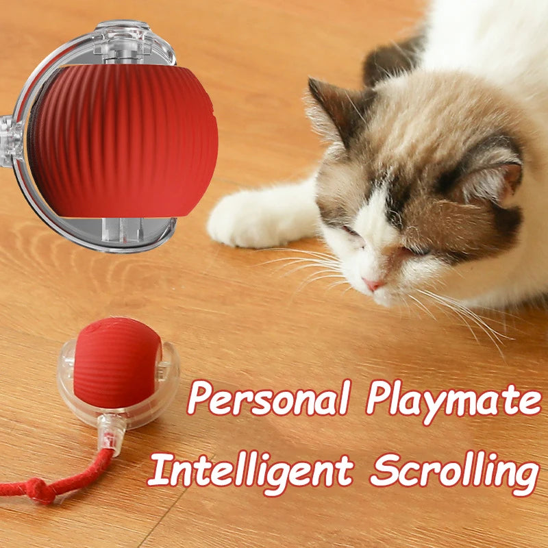 Interactive Automatic Rolling Ball Pet Toys