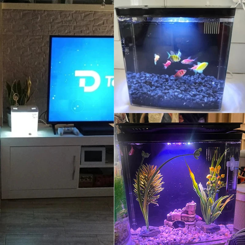 Aquarium Small Mini Fish Tank