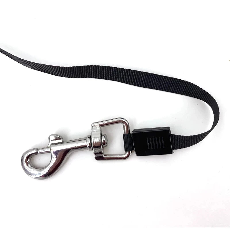 Retractable Dog Leash Traction Rope