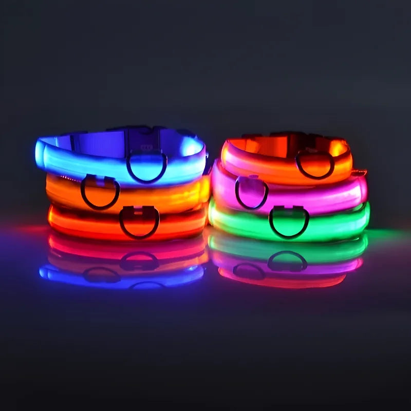 Nylon LED Night Safety Flashing Glow In The Dark Pet Leash