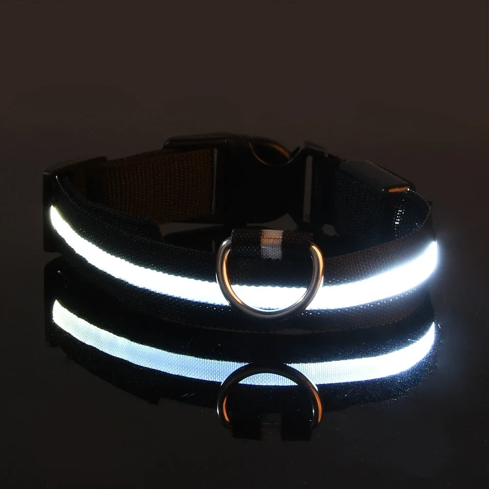 Nylon LED Night Safety Flashing Glow In The Dark Pet Leash