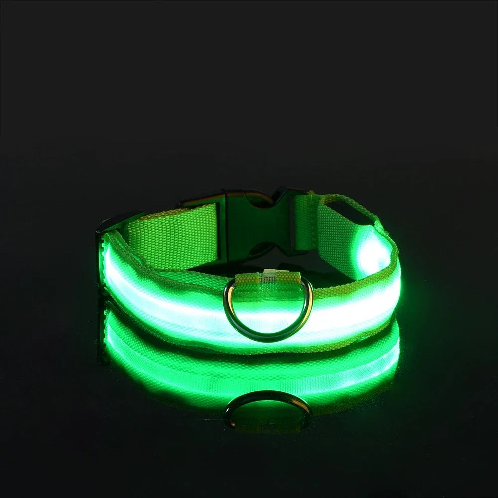 Nylon LED Night Safety Flashing Glow In The Dark Pet Leash