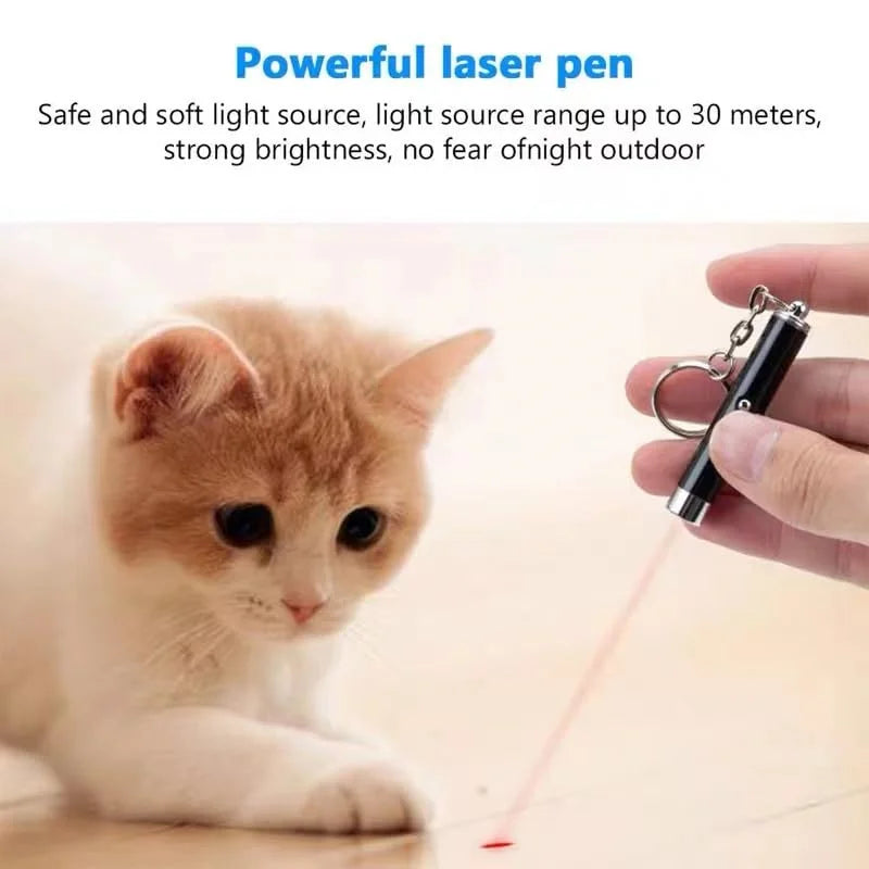 Pet Pointer Red Light Laser LED Training Torch Pet Toys