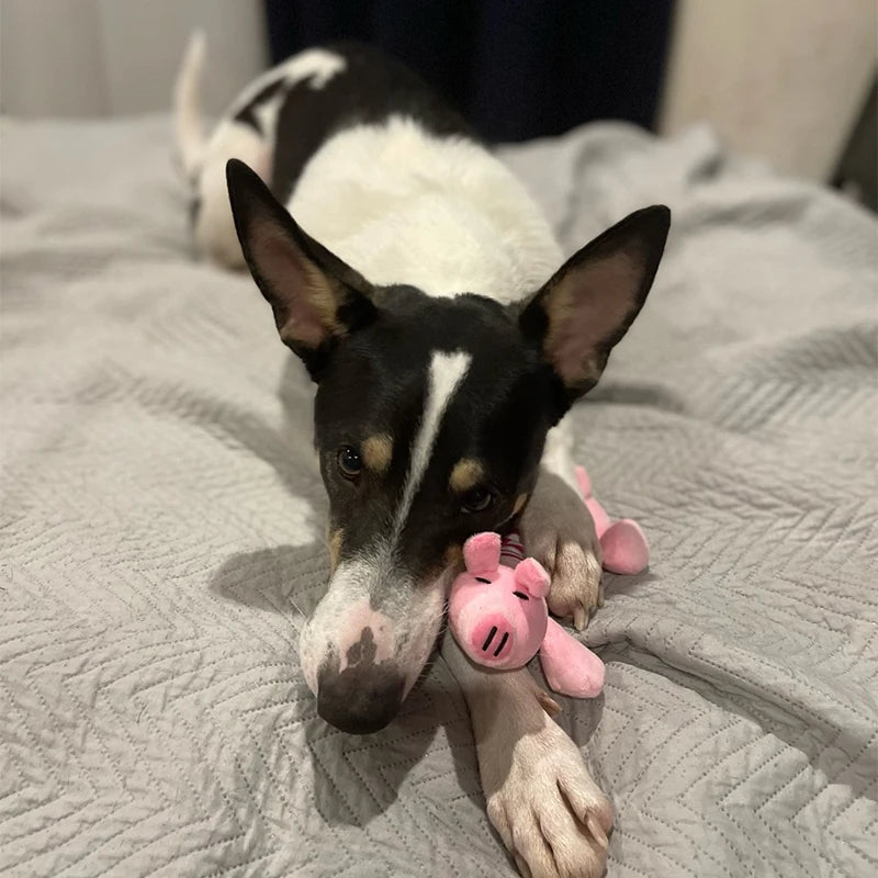 CDDMPET Animals Shape Plush Pet Toy