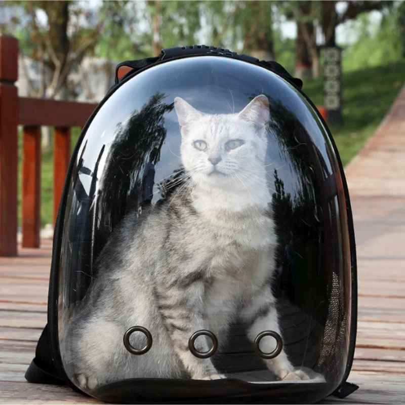 Portable and transparent space Backpack