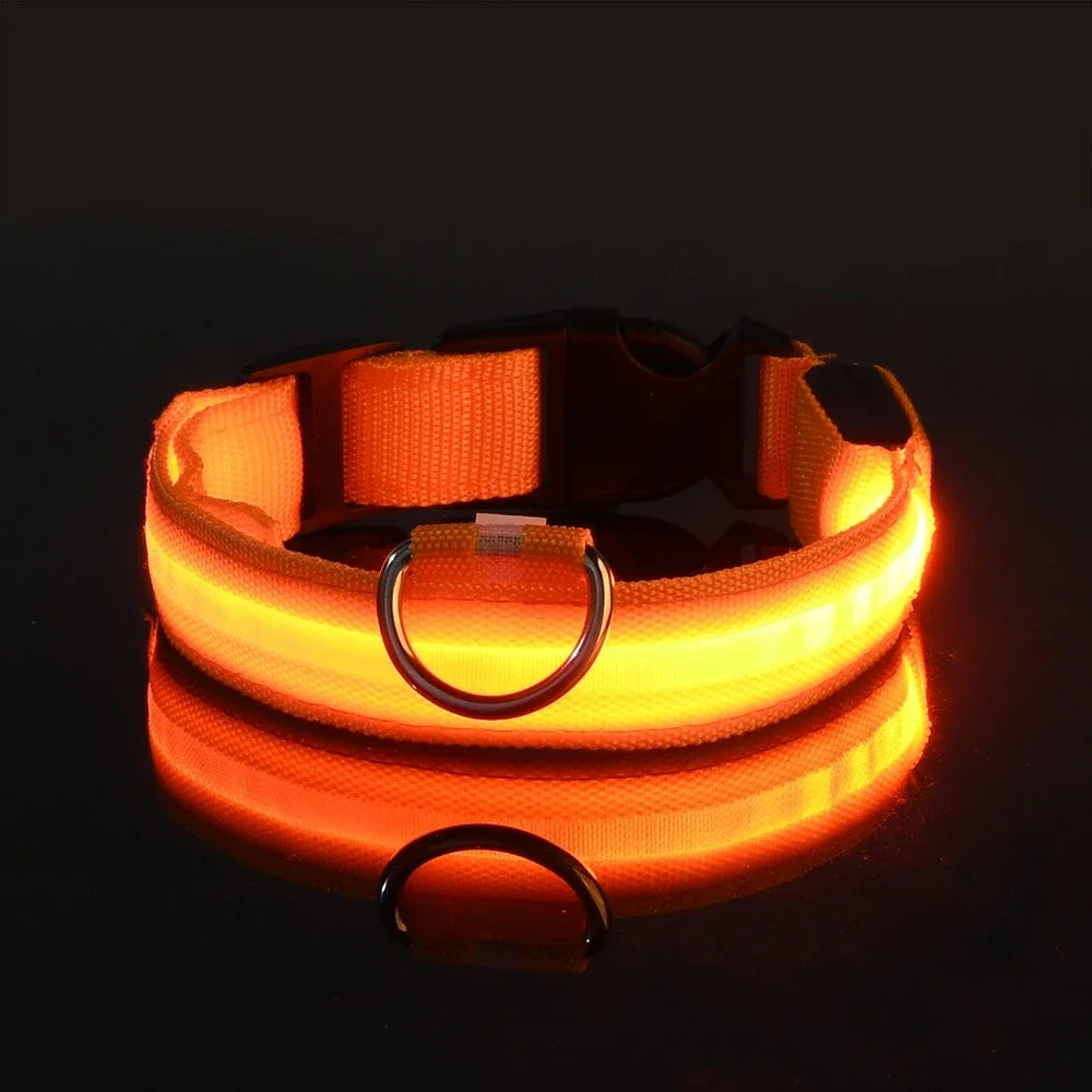 Nylon LED Night Safety Flashing Glow In The Dark Pet Leash