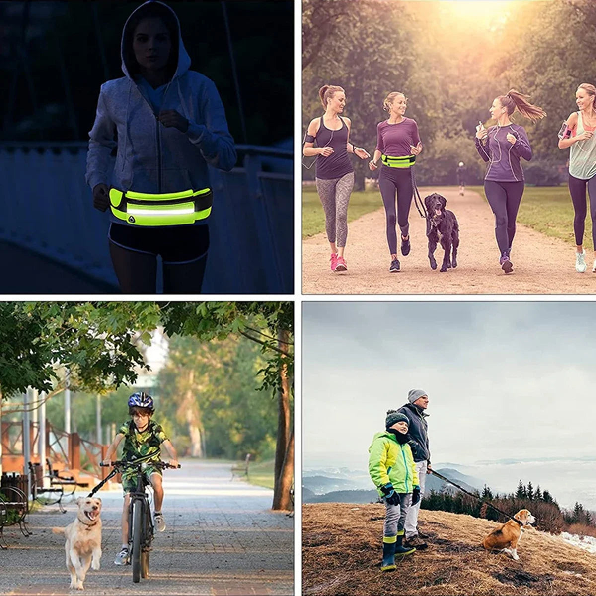 Reflective Leash with Waist Bag Retractable Elastic Belt Dog Traction Rope