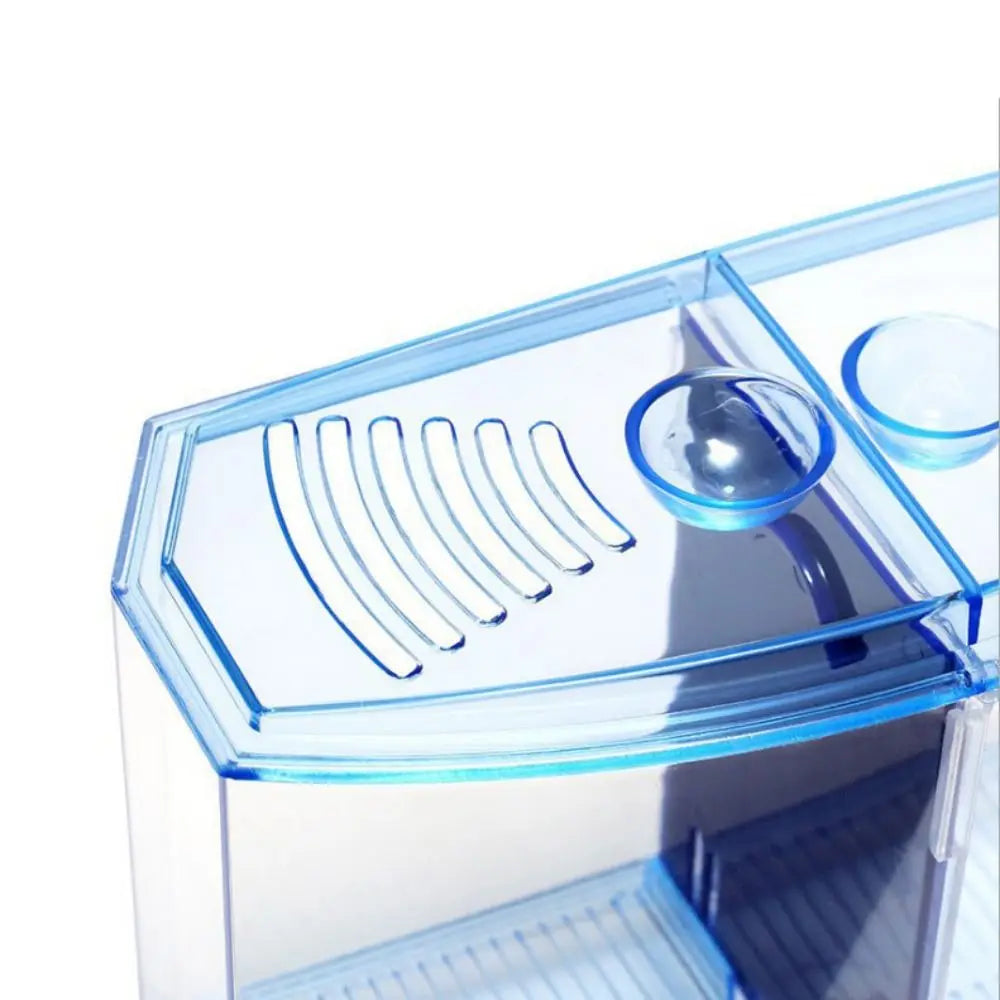 Transparent Betta Fish Tank & Double-grid Isolation Box