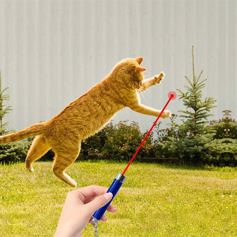 Pet Pointer Red Light Laser LED Training Torch Pet Toys