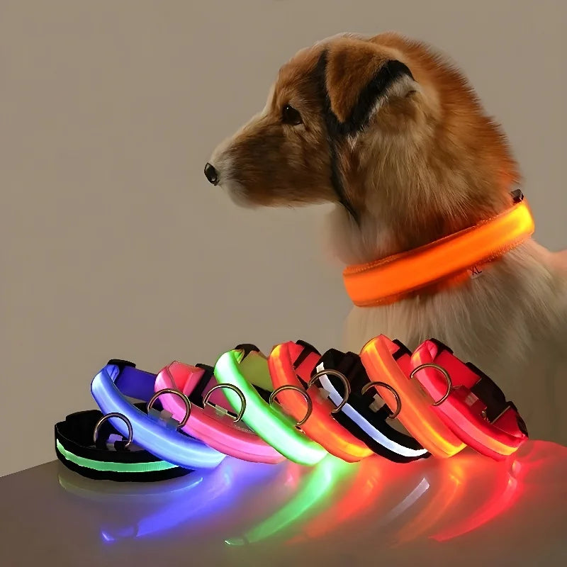 Nylon LED Night Safety Flashing Glow In The Dark Pet Leash