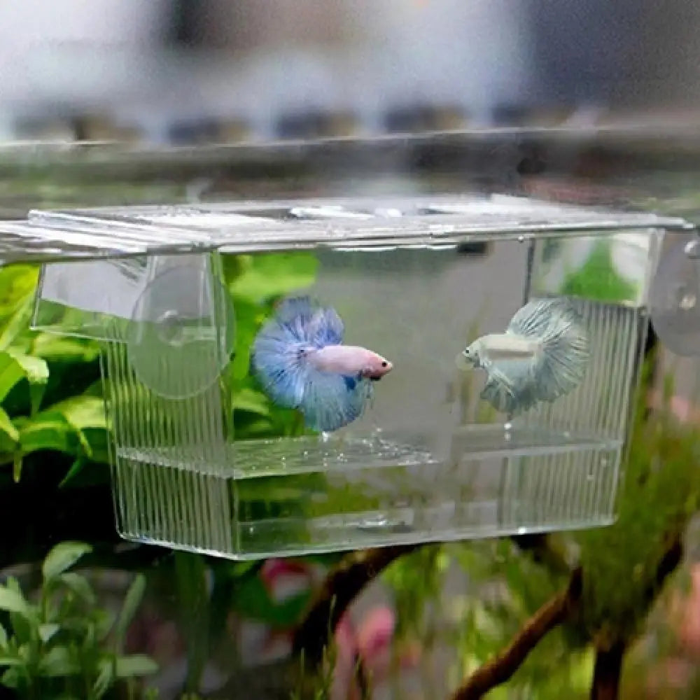 Aquarium Fish Tank Guppy Double Breeder Rearing Trap Box