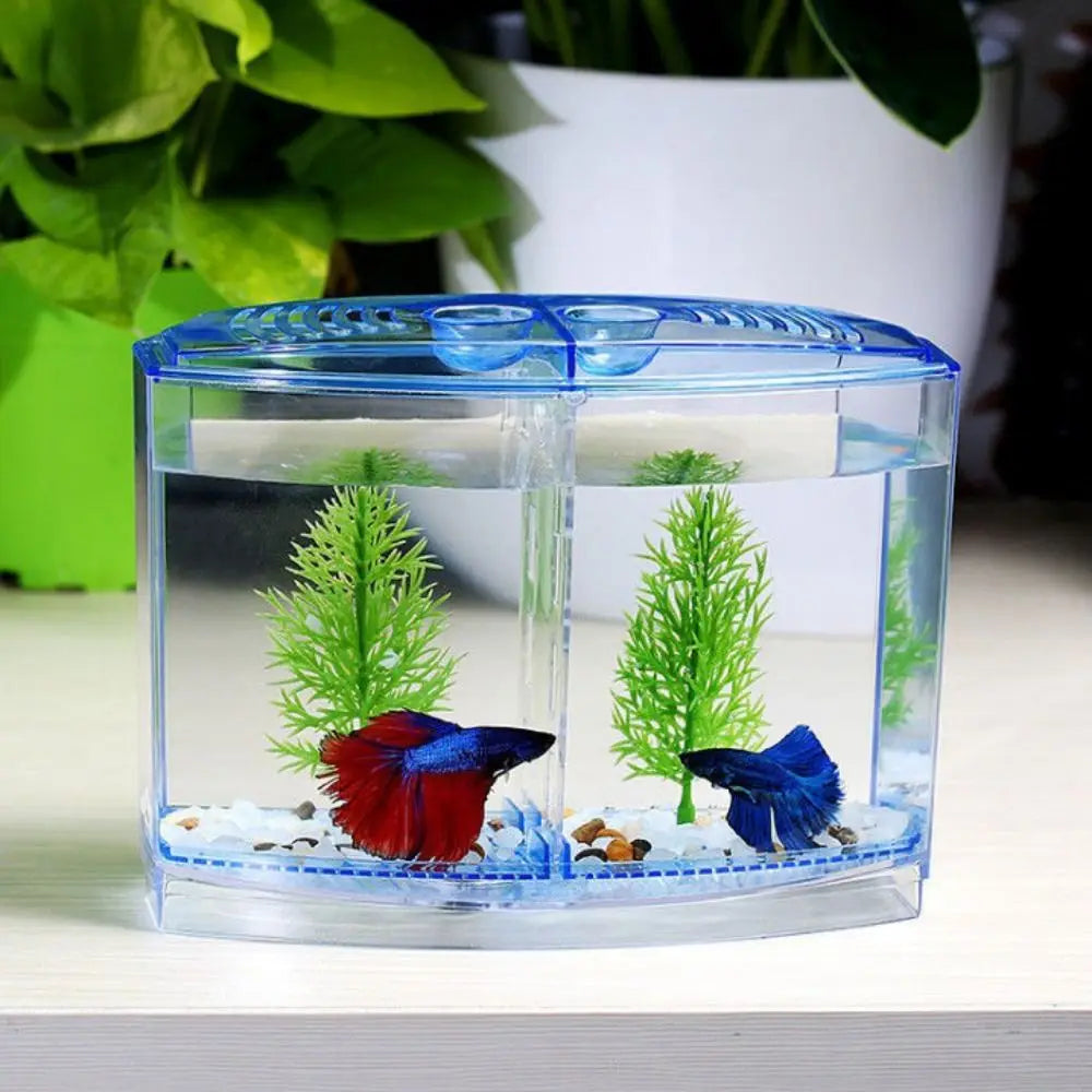 Transparent Betta Fish Tank & Double-grid Isolation Box