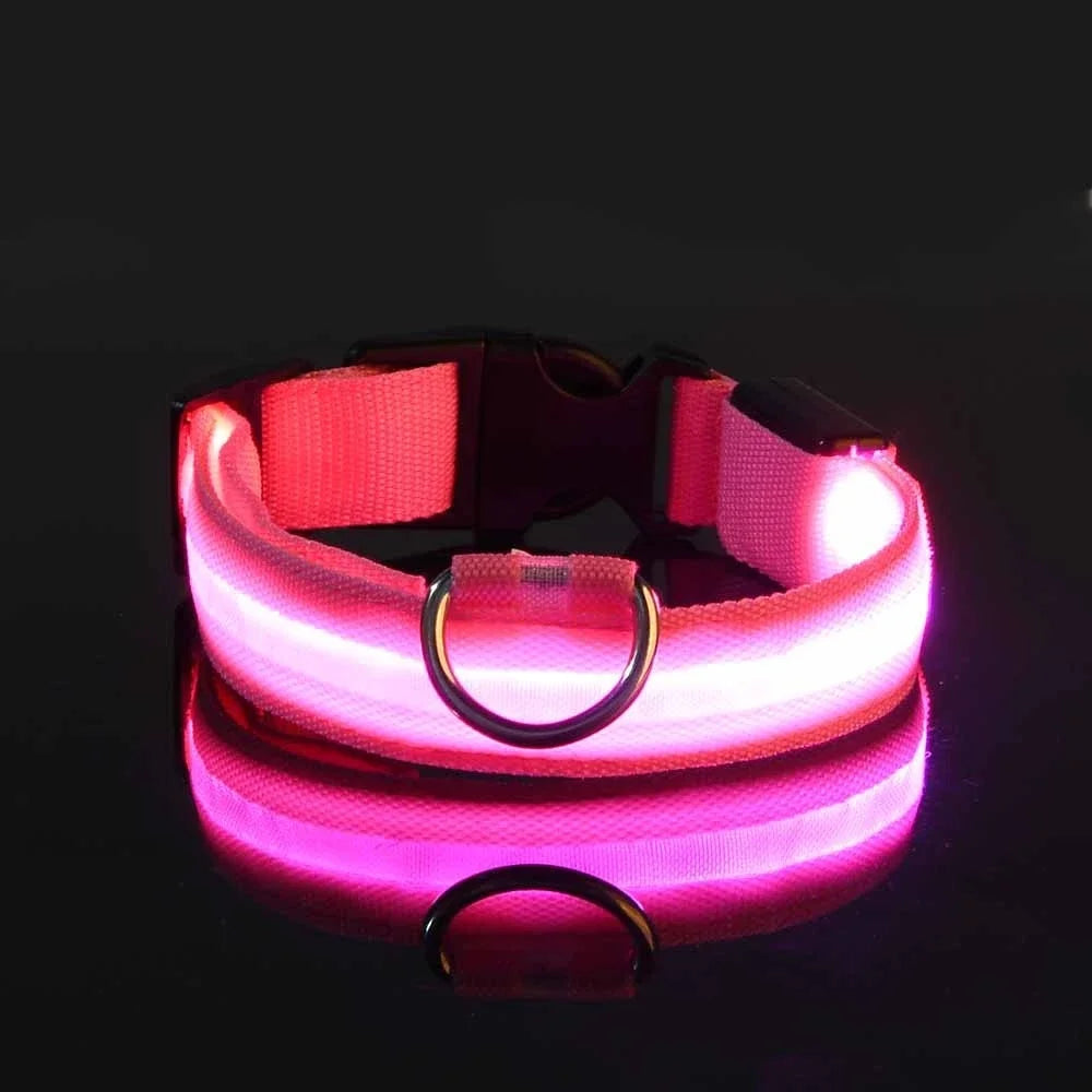 Nylon LED Night Safety Flashing Glow In The Dark Pet Leash