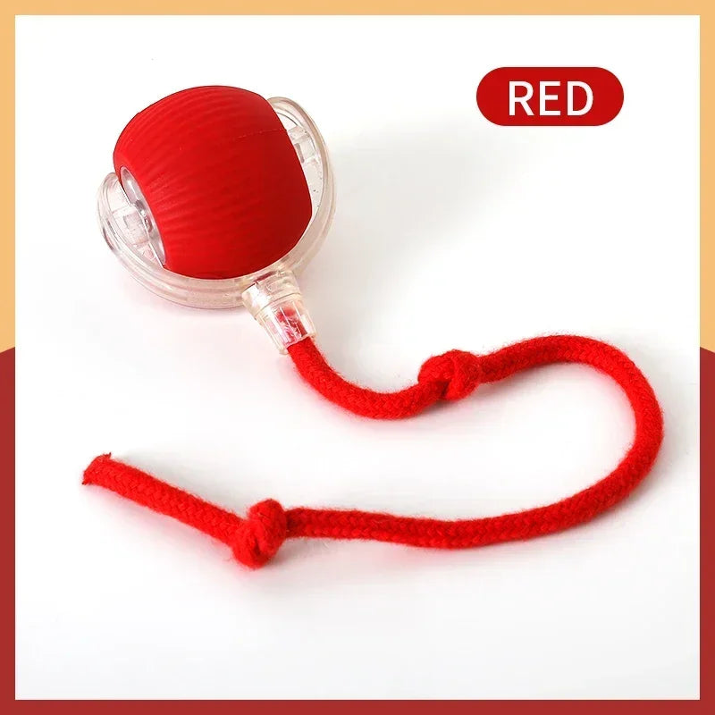 Interactive Automatic Rolling Ball Pet Toys