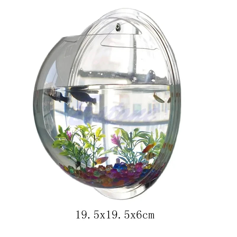 Wall Mounted Acrylic Fish Bowl & Planter