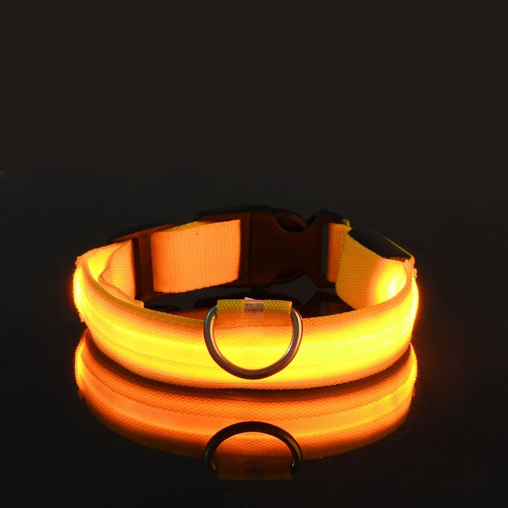 Nylon LED Night Safety Flashing Glow In The Dark Pet Leash