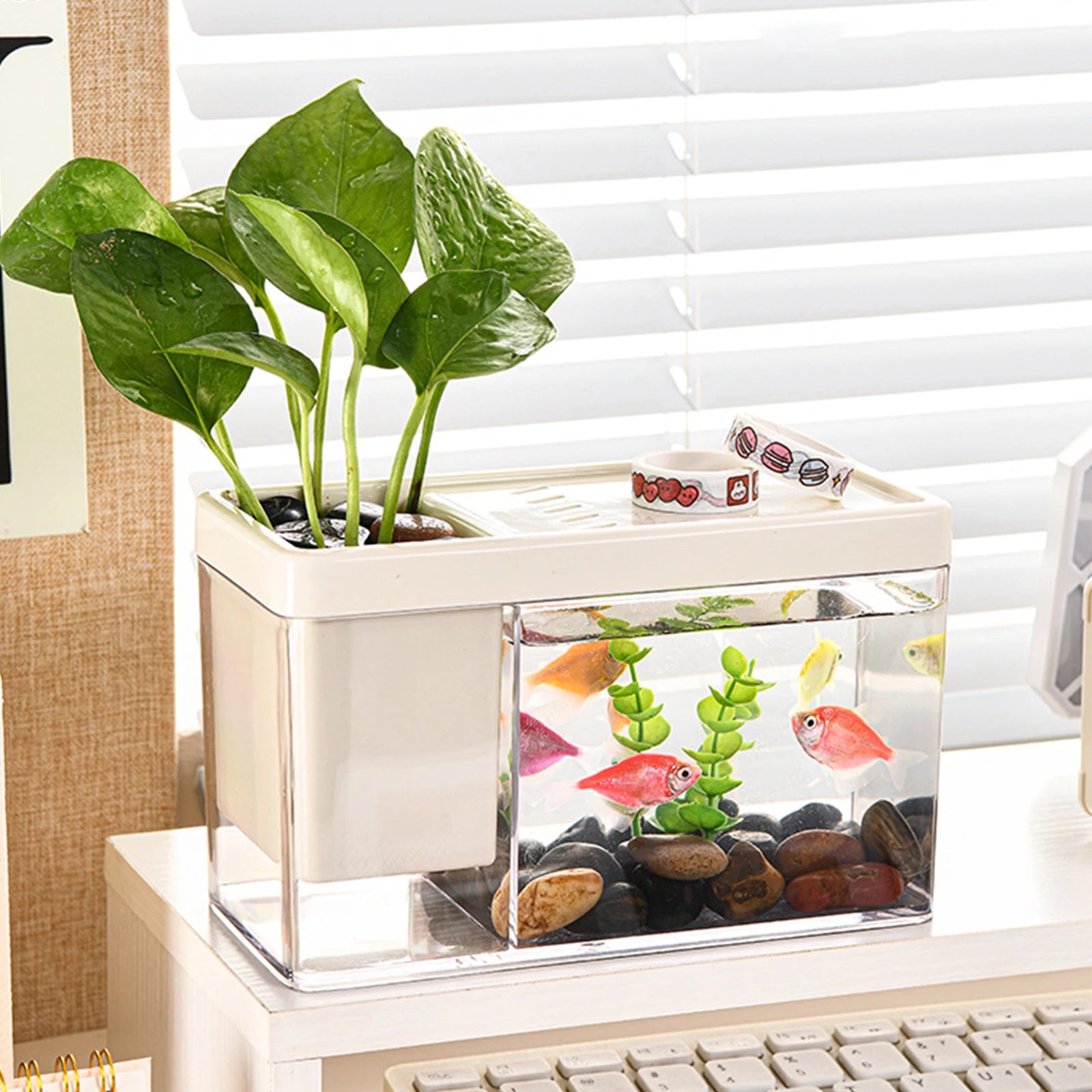 Multipurpose Clear Fish Tank Bowl Kits