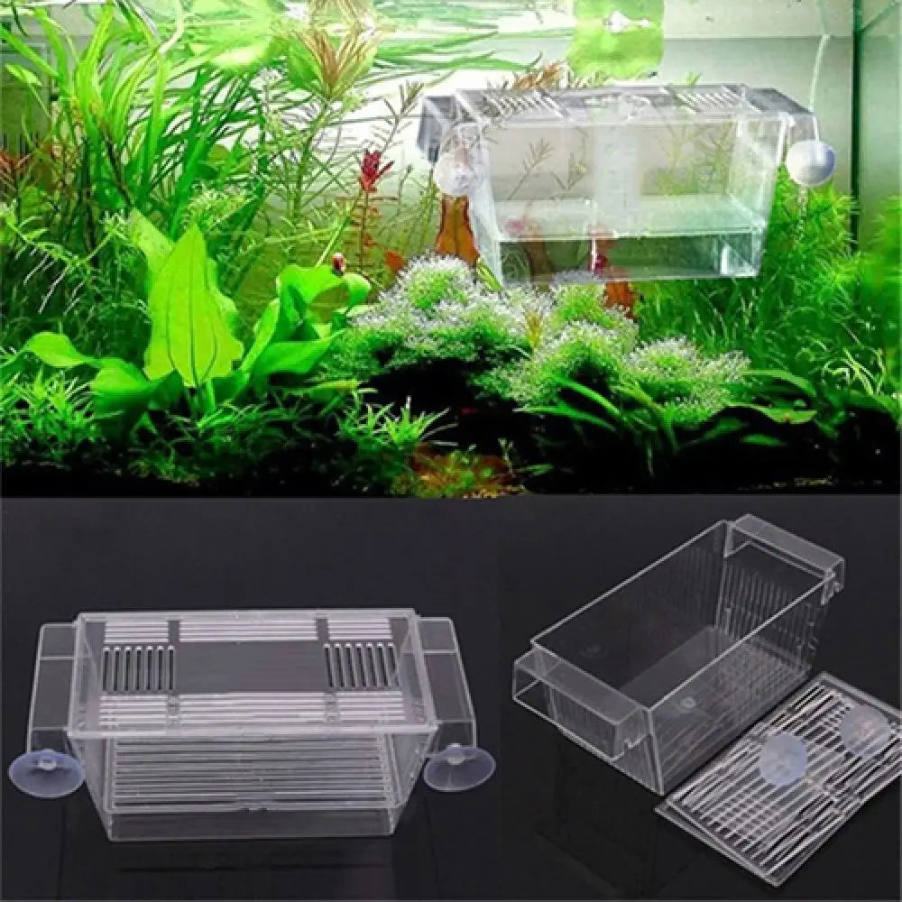 Aquarium Fish Tank Guppy Double Breeder Rearing Trap Box