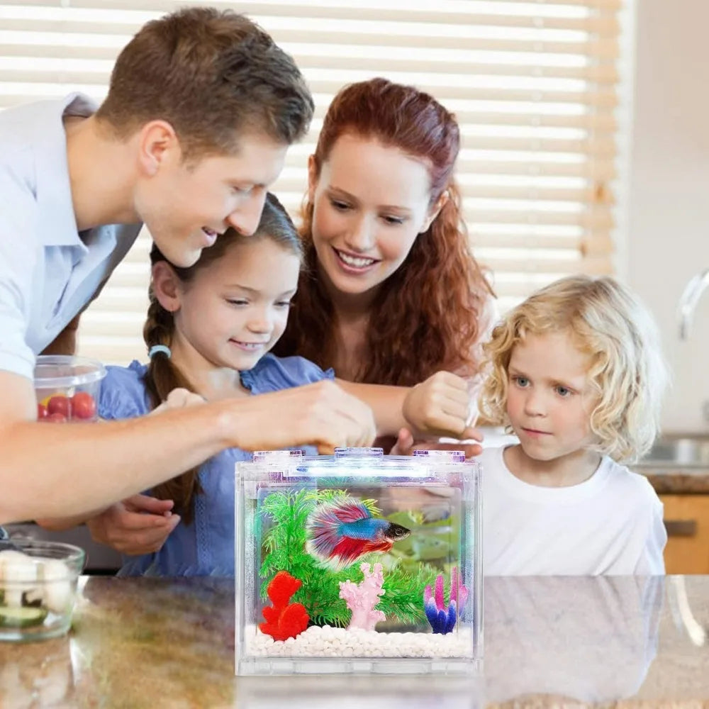 Aquarium Mini Fish TankThai Betta Tank