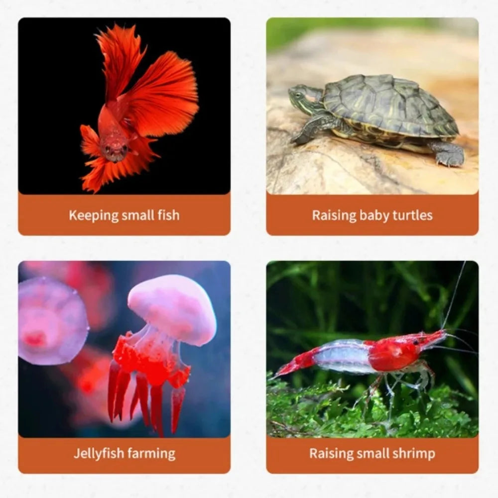 Aquarium Mini Fish TankThai Betta Tank