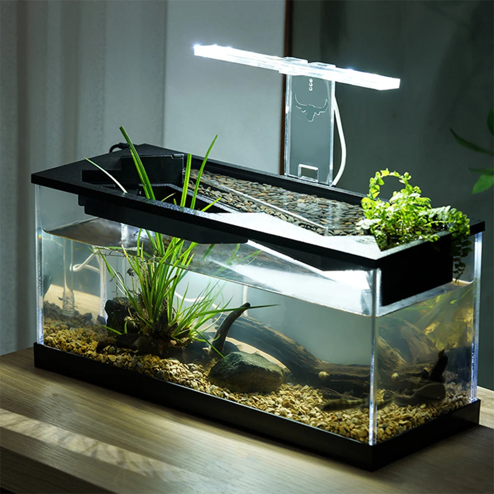 Small Fish Tank Aquarium with Built-in Light & Water Pump